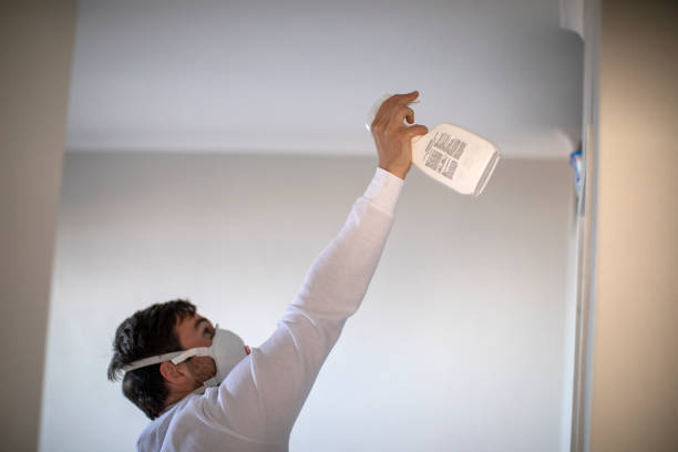 Best Professional Mold Removal  in White City, FL