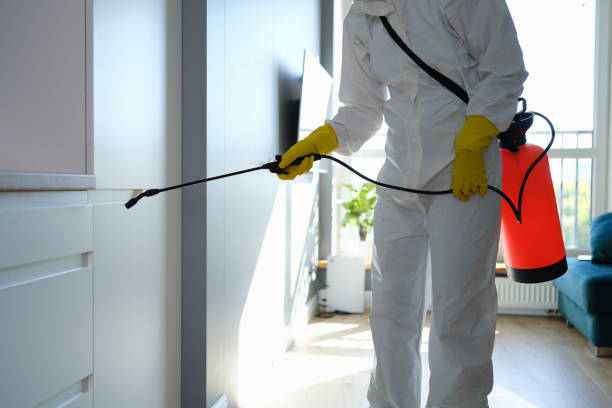 Best Crawl Space Mold Removal  in White City, FL